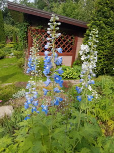 20180628_171852.jpg