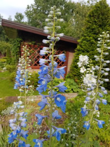 20180628_171907.jpg