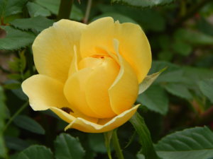DSCN6734.JPG
