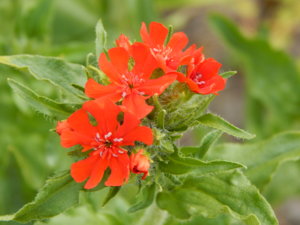 DSCN6448.JPG