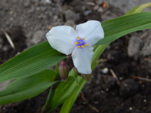 DSCN6449.JPG