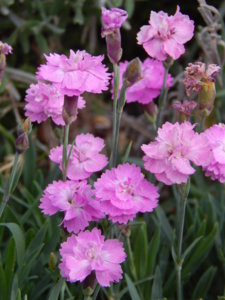 DSCN6483.JPG