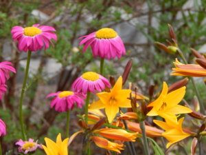 DSCN6497.JPG