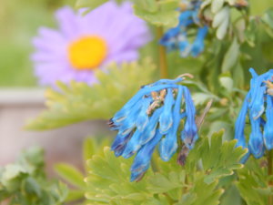 DSCN6507.JPG