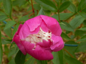 DSCN6838.JPG