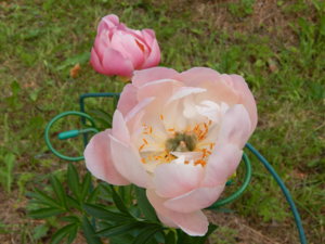 DSCN6907.JPG