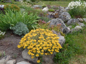DSCN6761.JPG