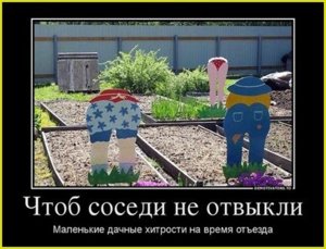 дача.jpg