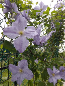 20180708_211329.jpg
