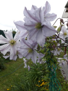 20180708_211137.jpg