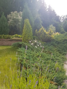 20180622_171943.jpg