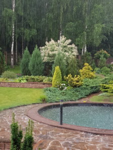 20180626_175735.jpg
