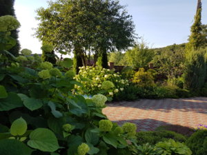 20180627_184206.jpg