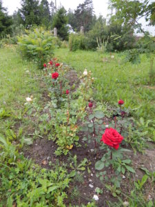 DSCN7022.JPG