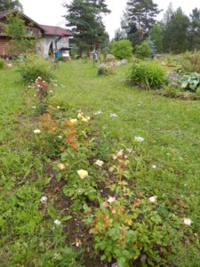 DSCN7024.JPG