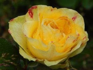 DSCN6776.JPG
