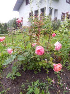 DSCN6970.JPG
