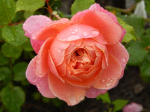 DSCN6973.JPG