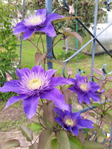 20180711_121214.jpg