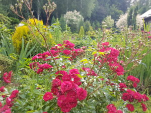 20180628_172521.jpg