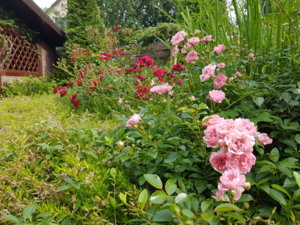 20180628_172544.jpg