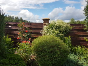 20180624_151739.jpg