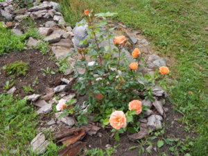 DSCN7018.JPG
