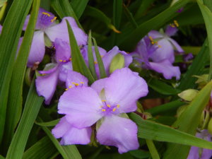 DSCN7059.JPG