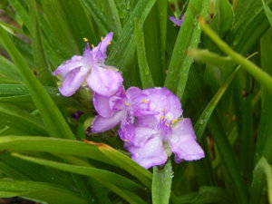 DSCN6686.JPG