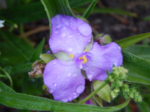 DSCN6688.JPG