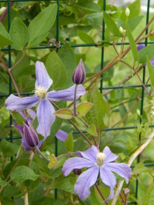 DSCN7027.JPG