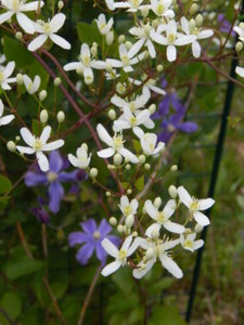 DSCN7028.JPG