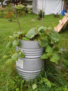 DSCN4421.JPG