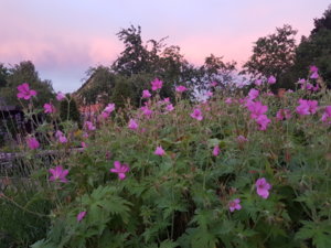 20180622_215038.jpg