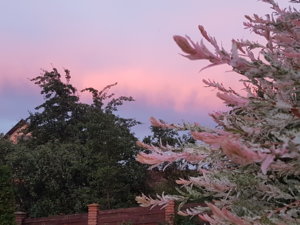 20180622_215238.jpg