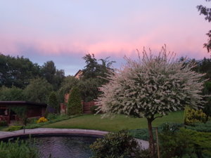 20180622_215316.jpg