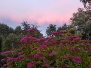 20180622_215422.jpg