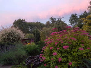 20180622_215447.jpg