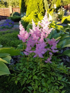 20180704_202305.jpg