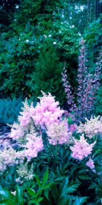 20180714_190901.jpg