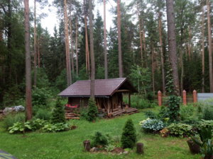 IMG_20180714_151237.jpg