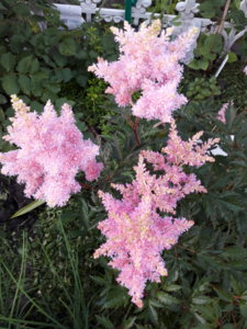 20180715_220007.jpg