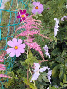 20180715_215703.jpg