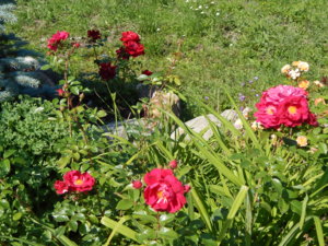 DSCN7234.JPG