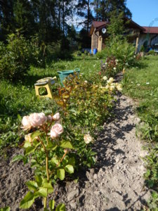 DSCN7136.JPG