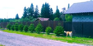20180714_123759.jpg