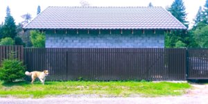 20180714_123753.jpg