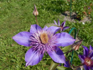 DSCN7203.JPG