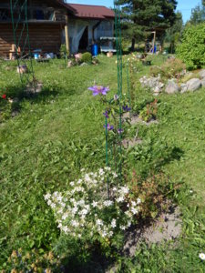 DSCN7134.JPG