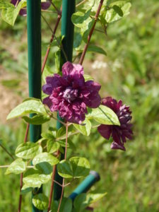 DSCN7212.JPG